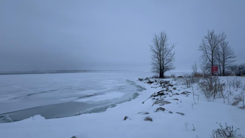 Featured image of post Ce train qui s'en va