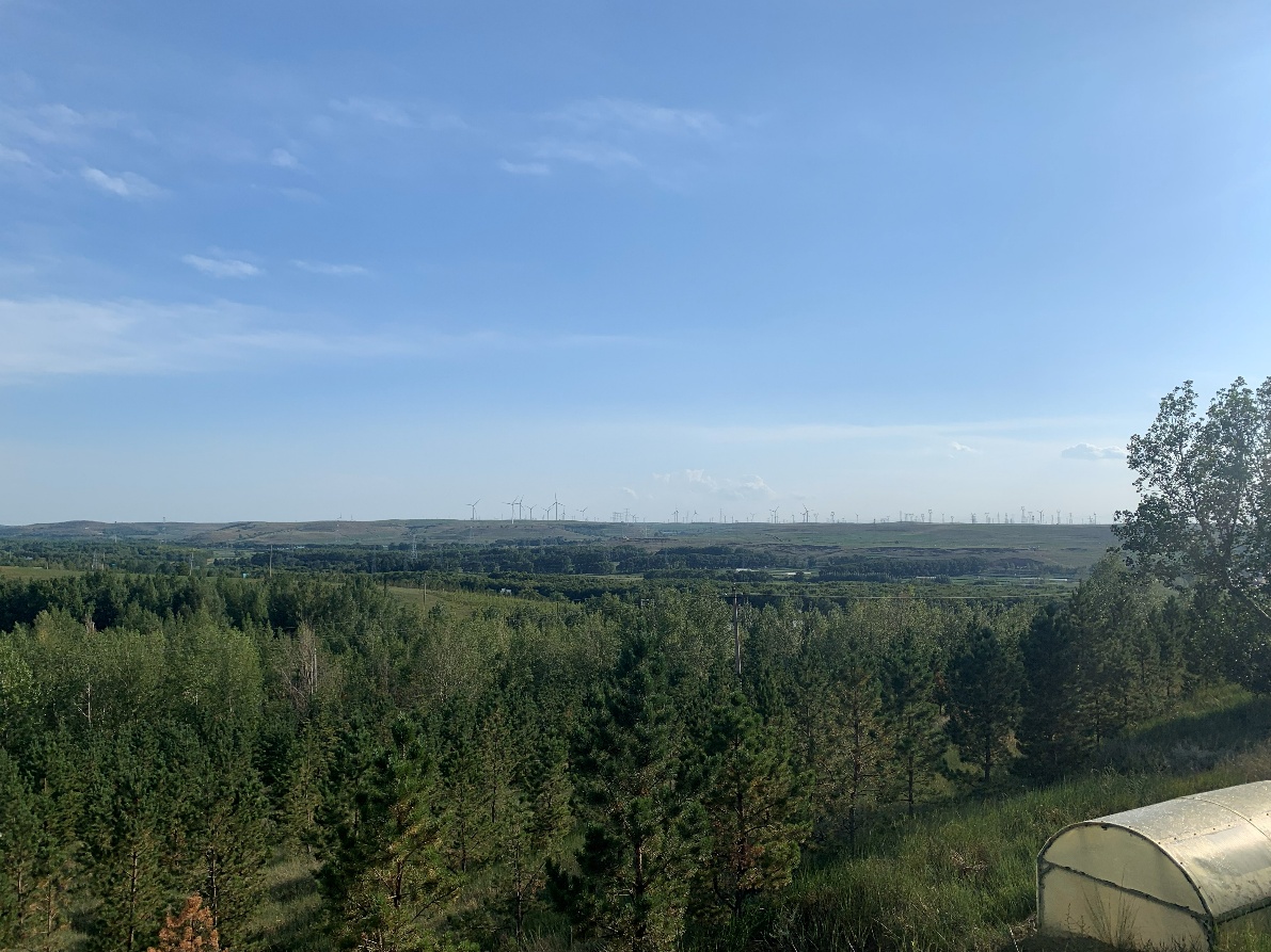 野狐岭远眺，风车，感觉真人看到的比图片里的震撼很多