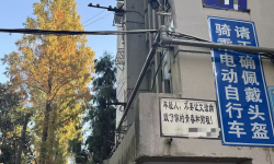 Featured image of post 我最喜欢地球上的哪一座城市？